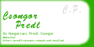 csongor predl business card